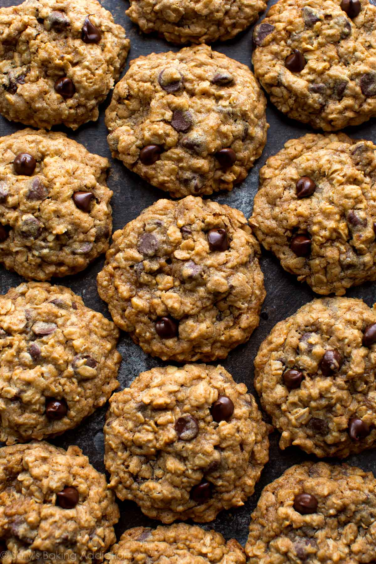 Oats choco chip cookies 