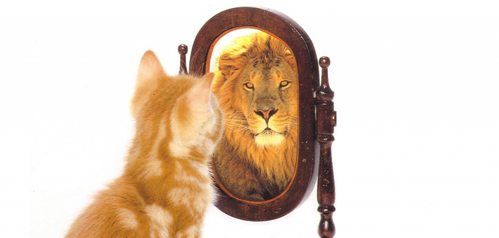 Confidence in the Classroom