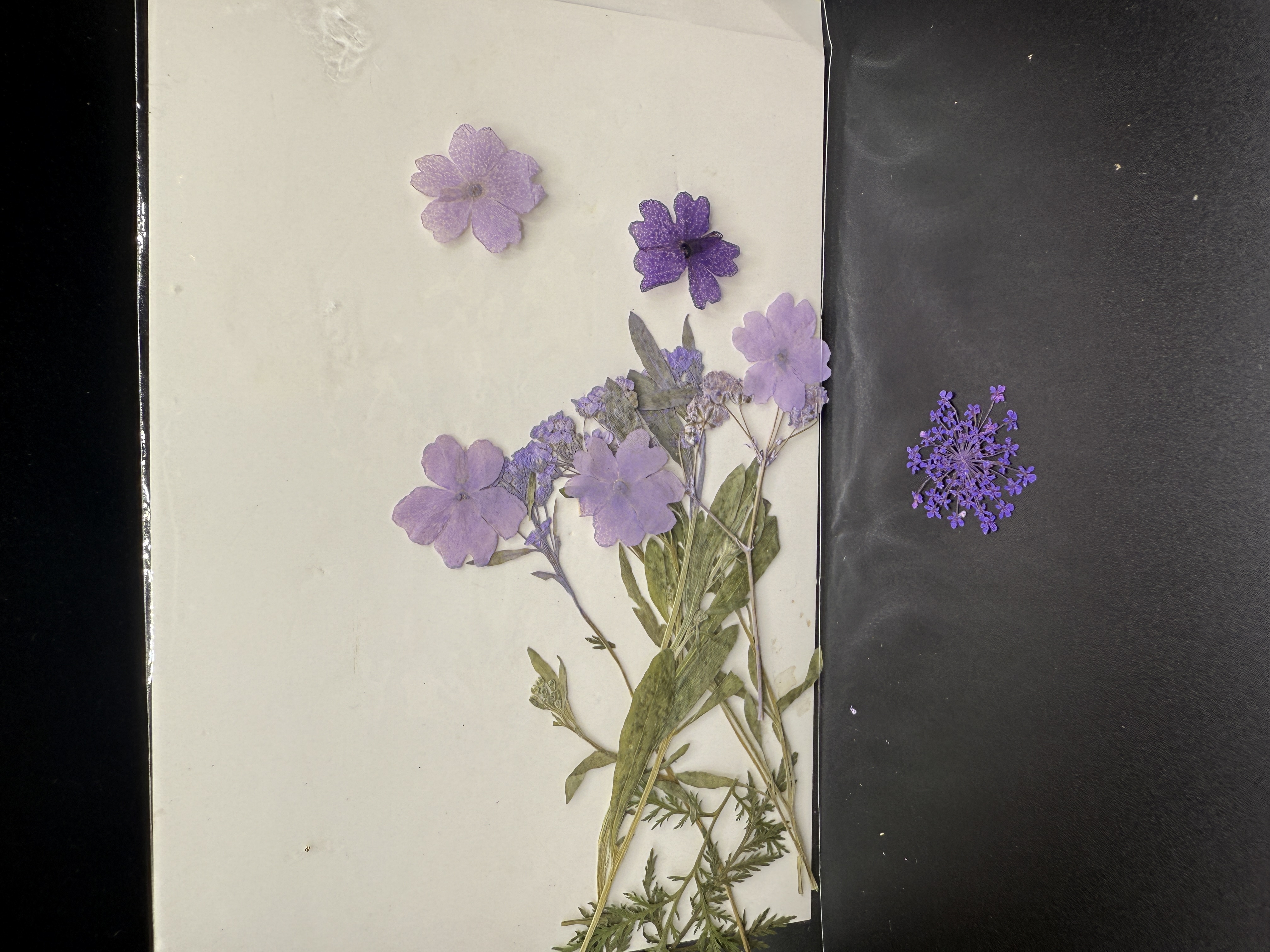 Epoxidharz Vorschau Blumen