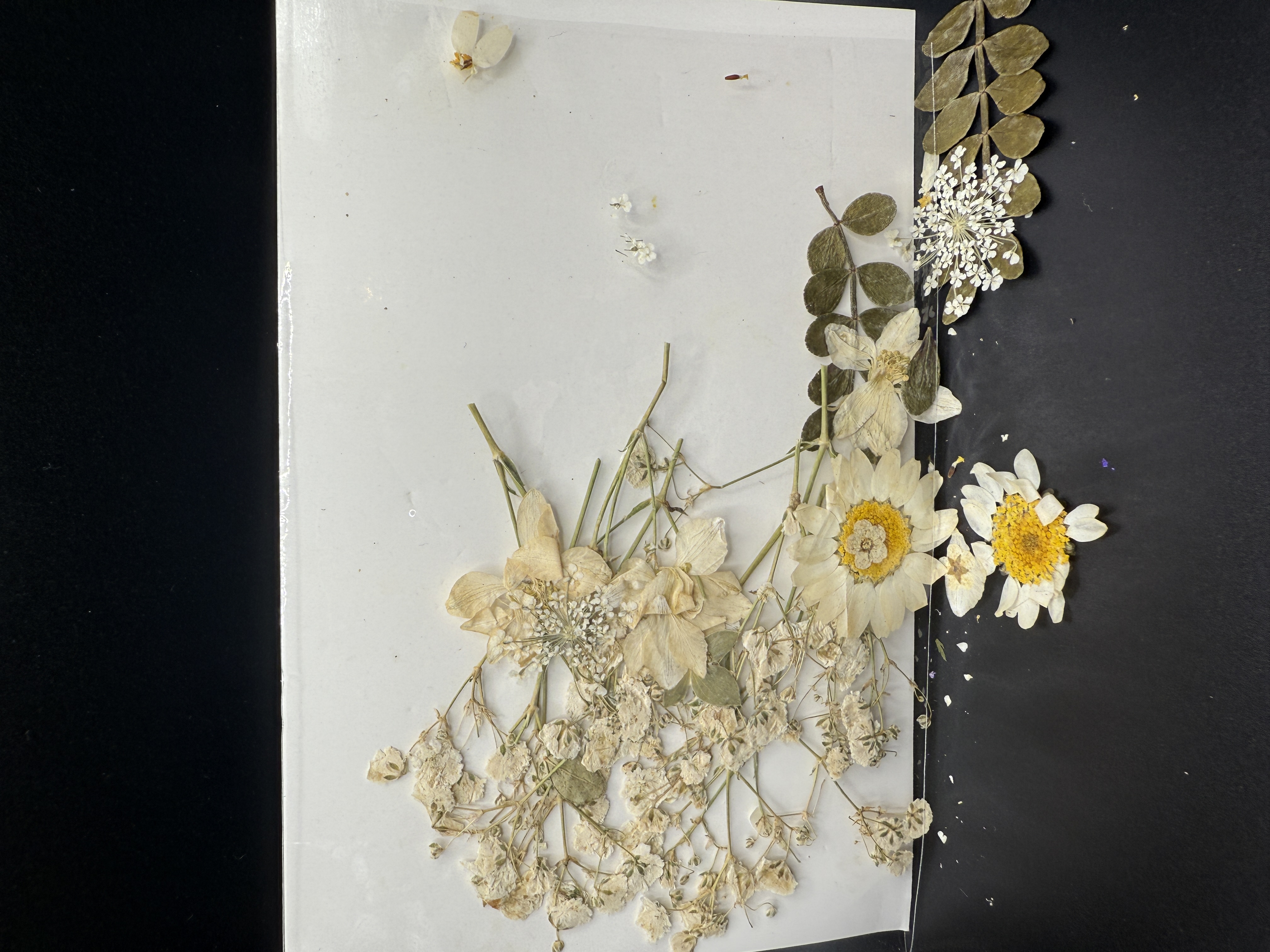 Epoxidharz Vorschau Blumen