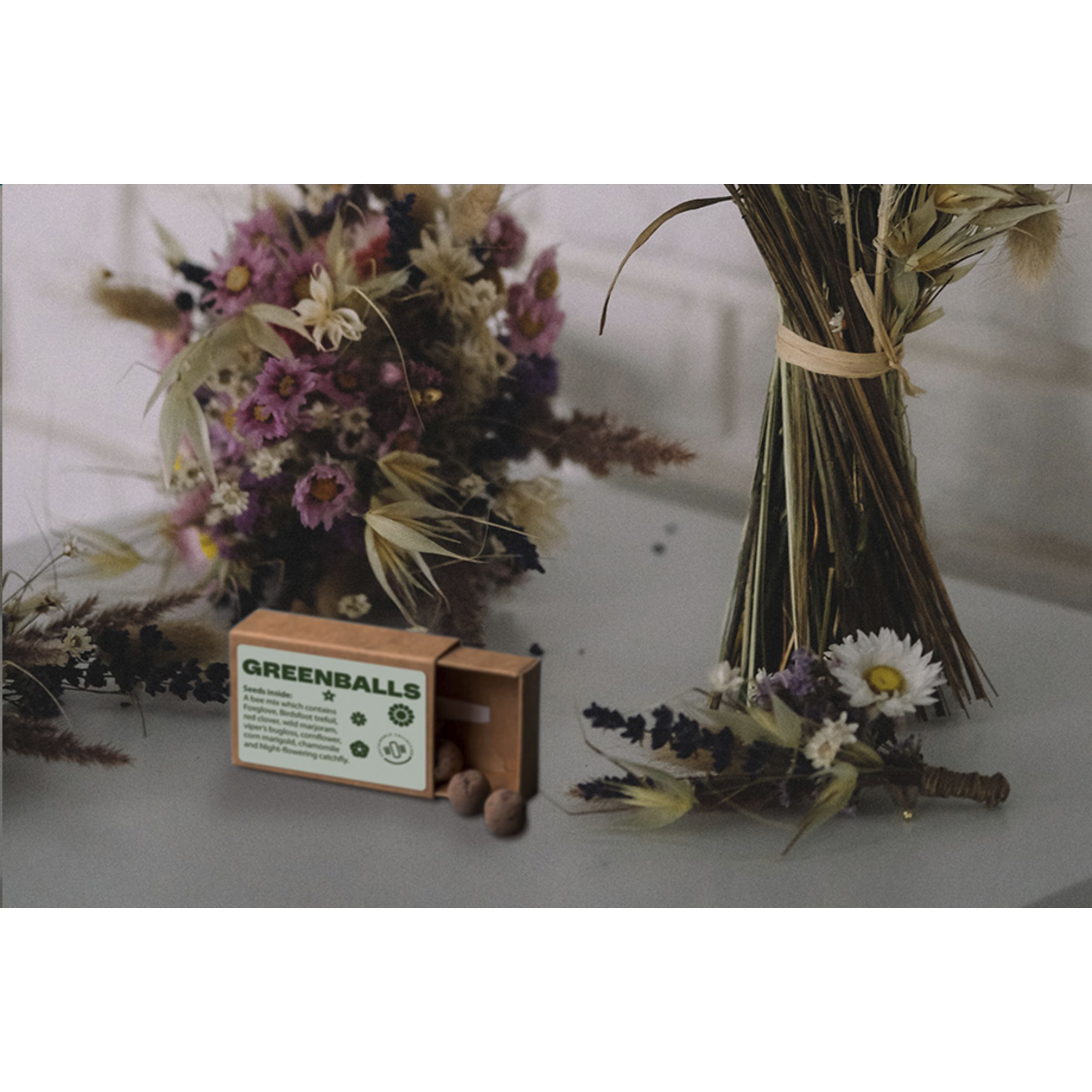 W077 Mini ekosistema