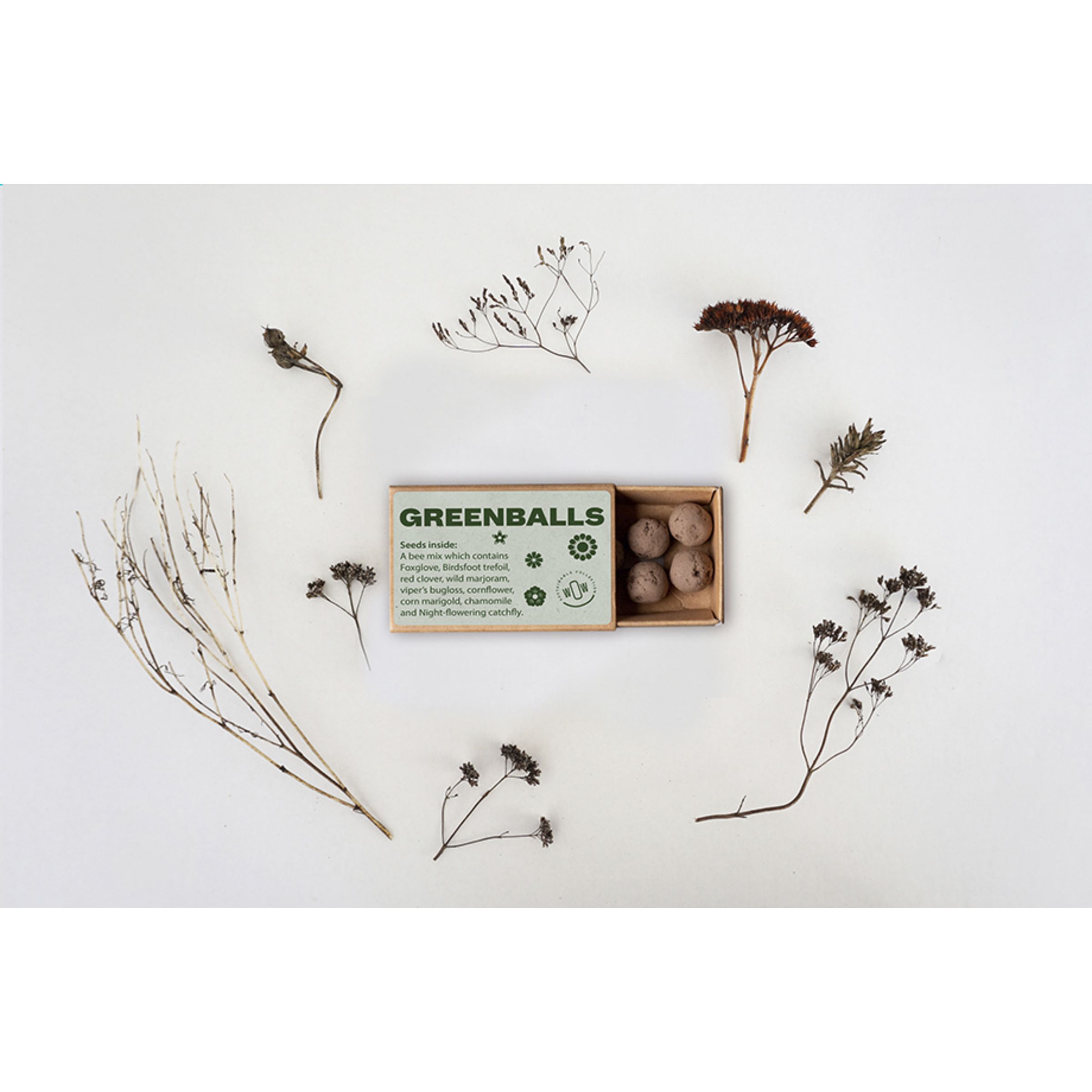 W077 Mini ekosistema