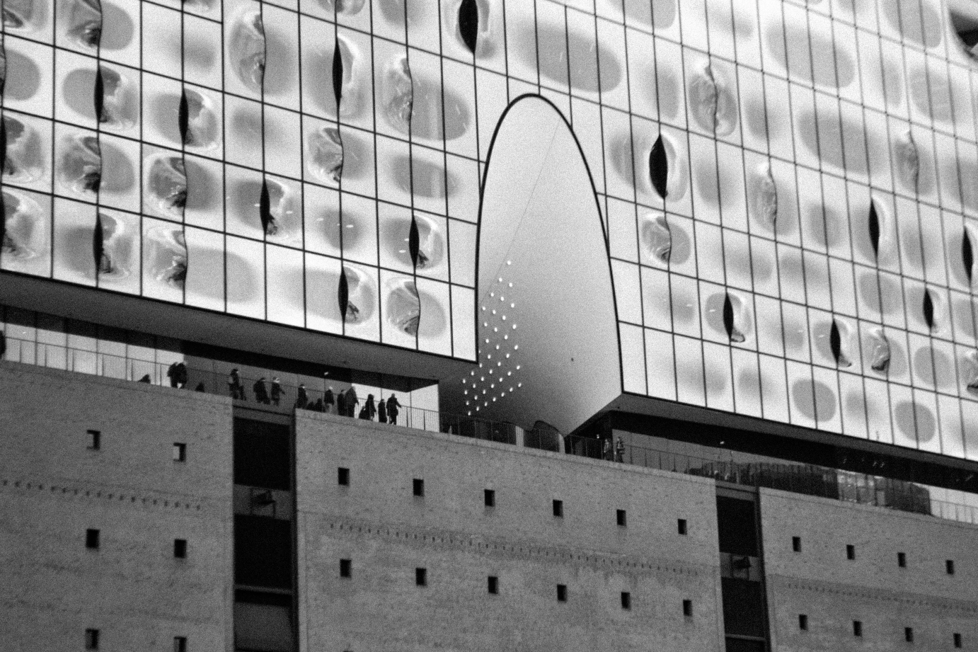 Filarmonica del Elba