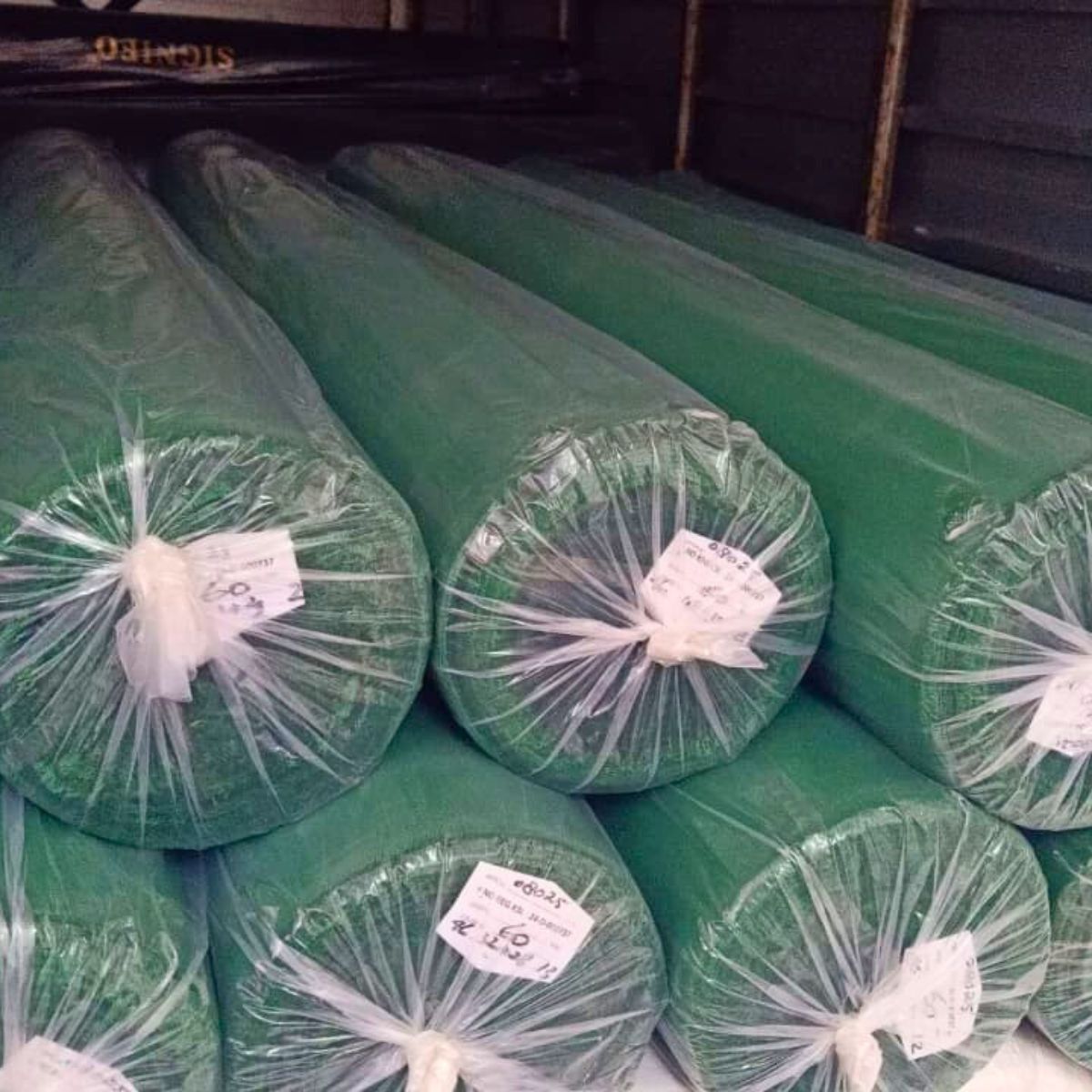 [46] HIJAU FUJI | FUJI GREEN