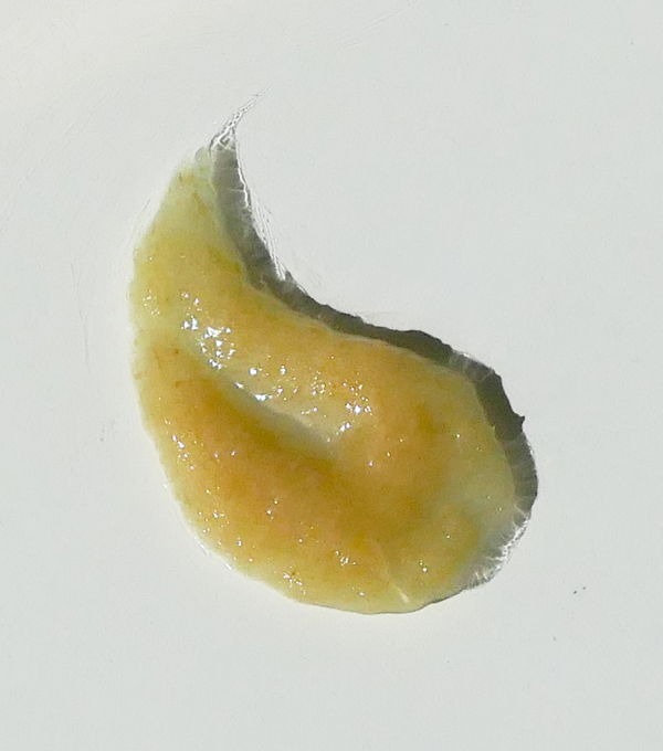 Ginger Enzyme