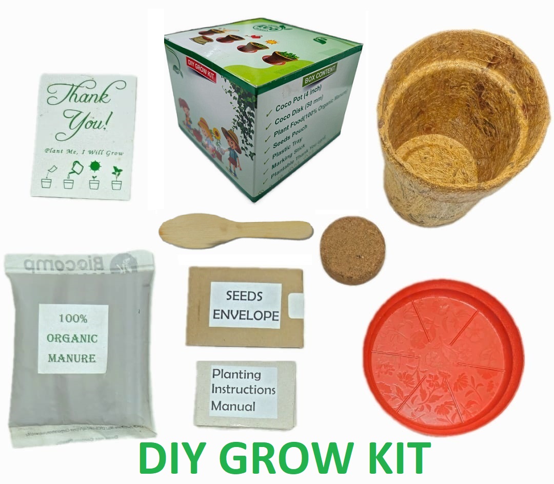 Eco-Friendly DIY Grow Kit for Corporate Gifting | Sustainable Table Decor with Custom Branding