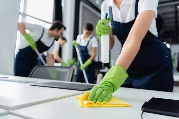 Professional Cleaning Services