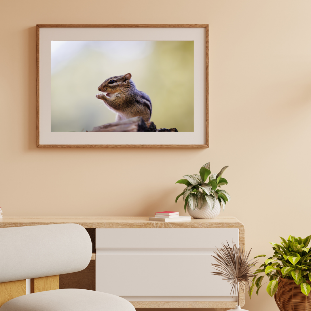 Impression photo