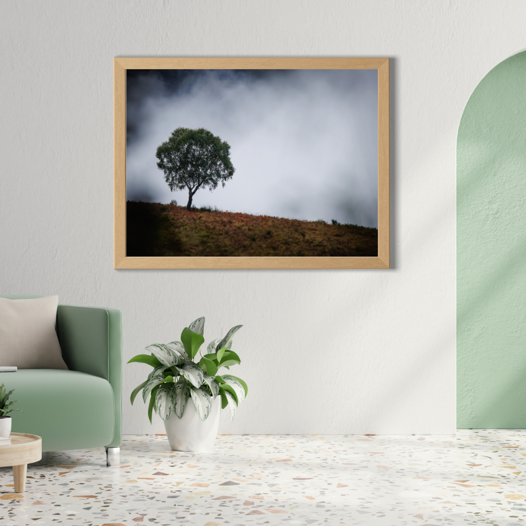 Impression photo
