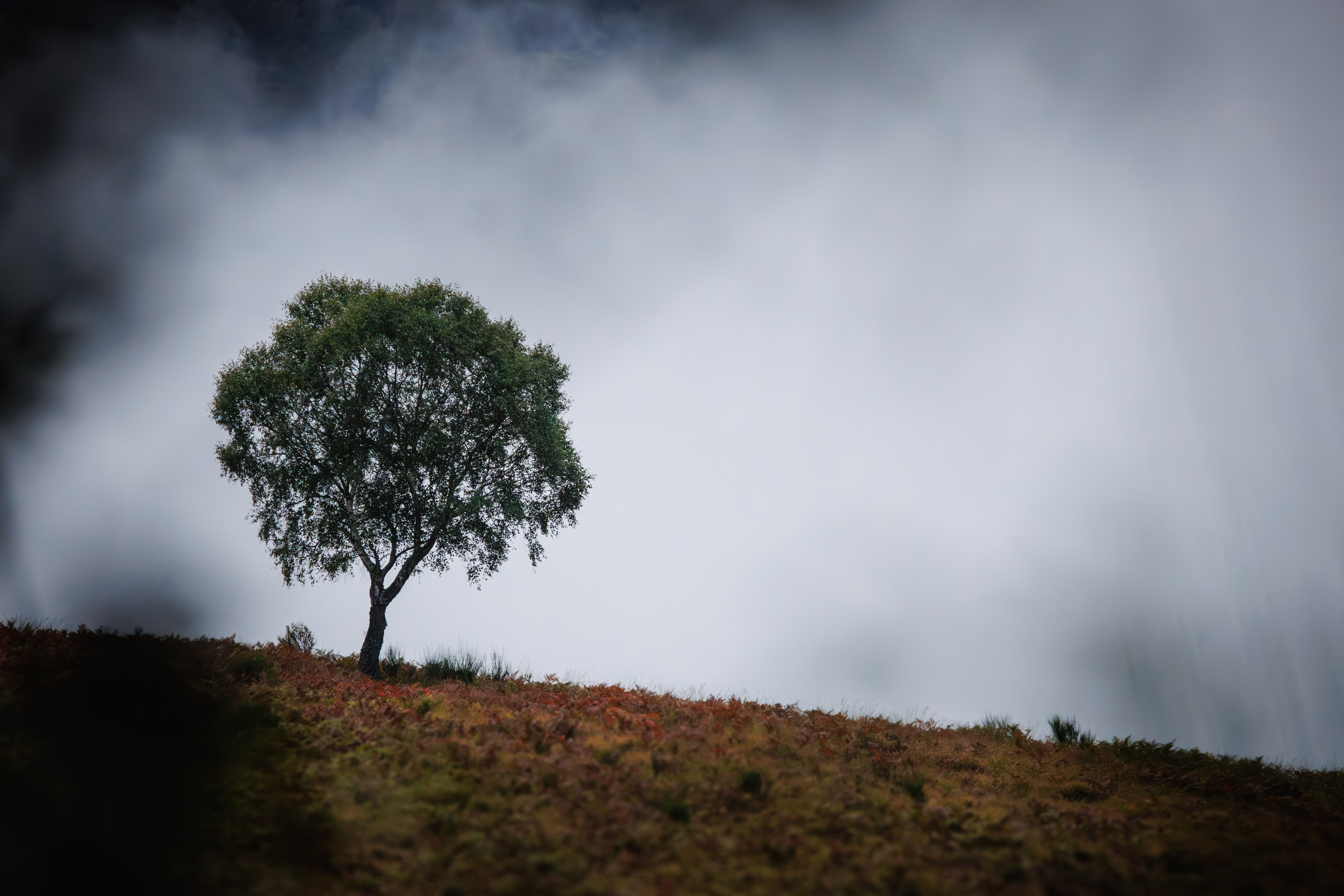 Impression photo