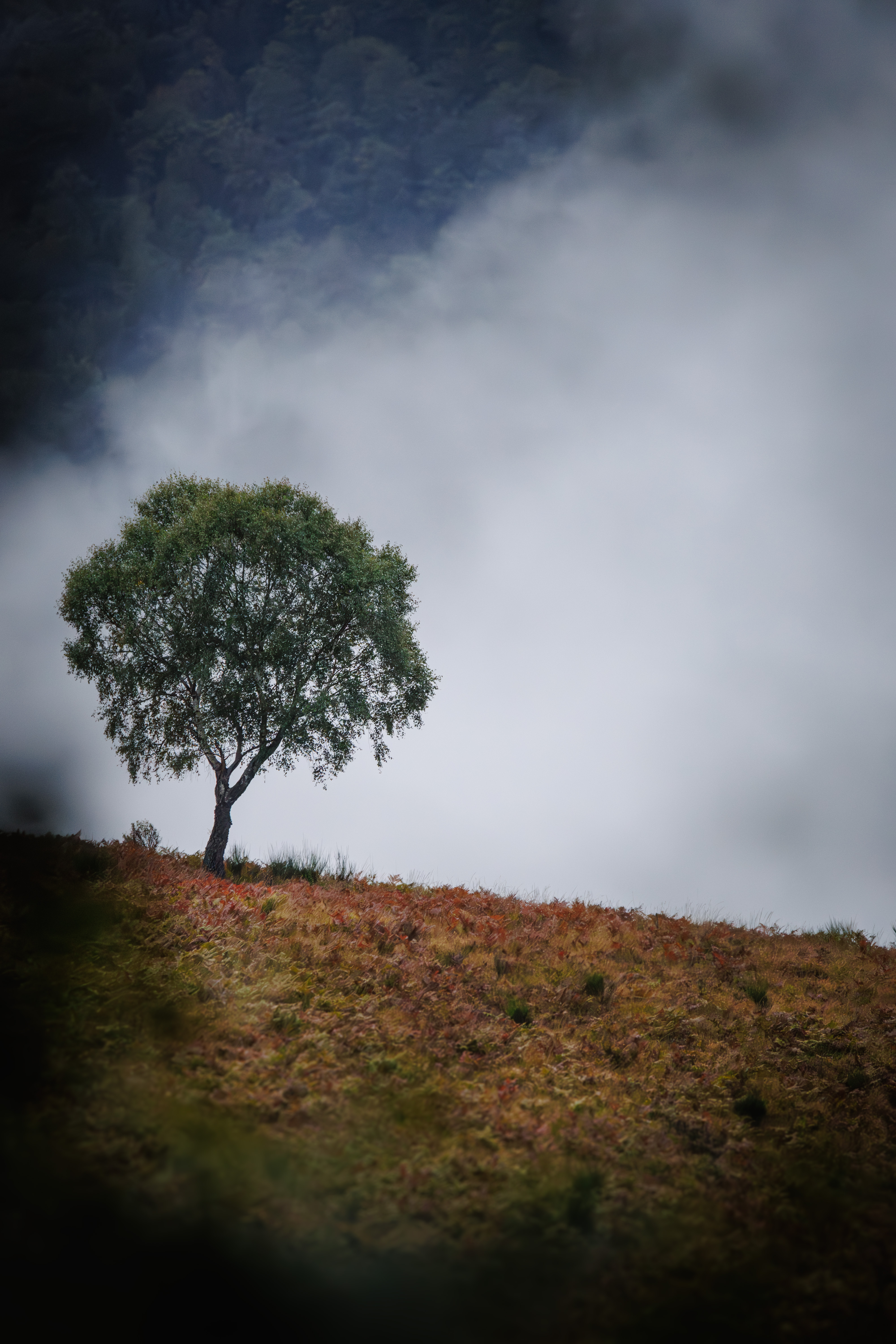 Impression photo