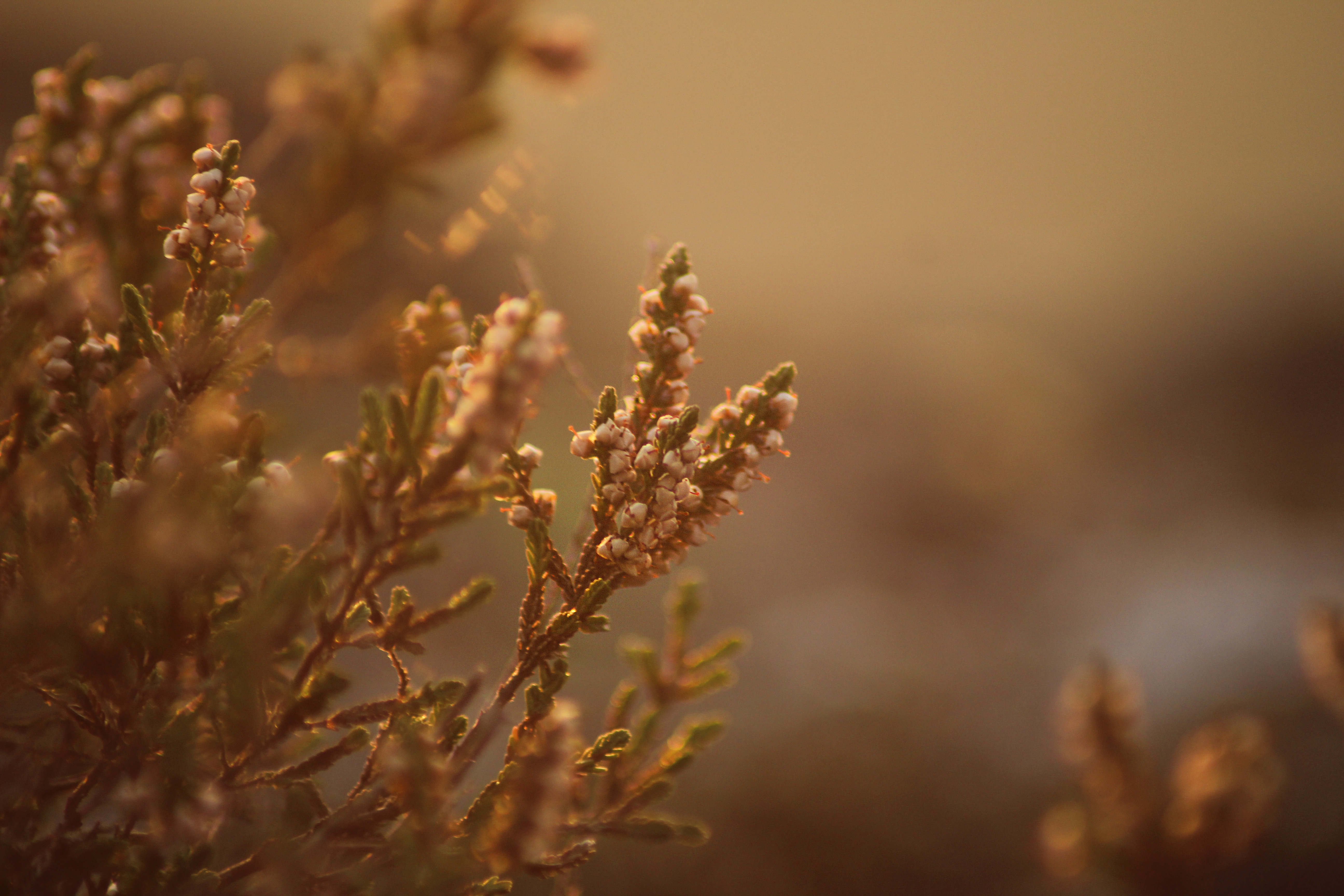 Impression photo