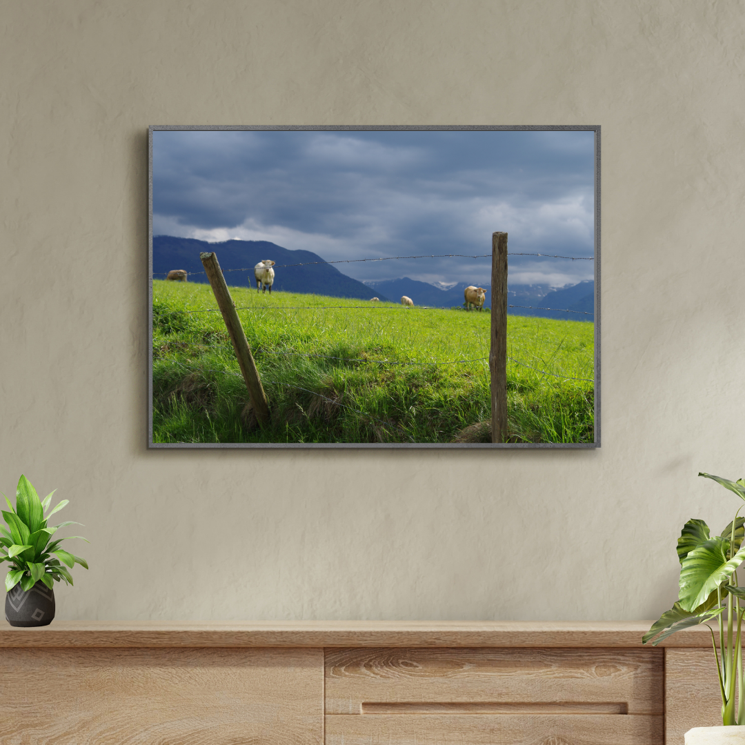 Impression photo