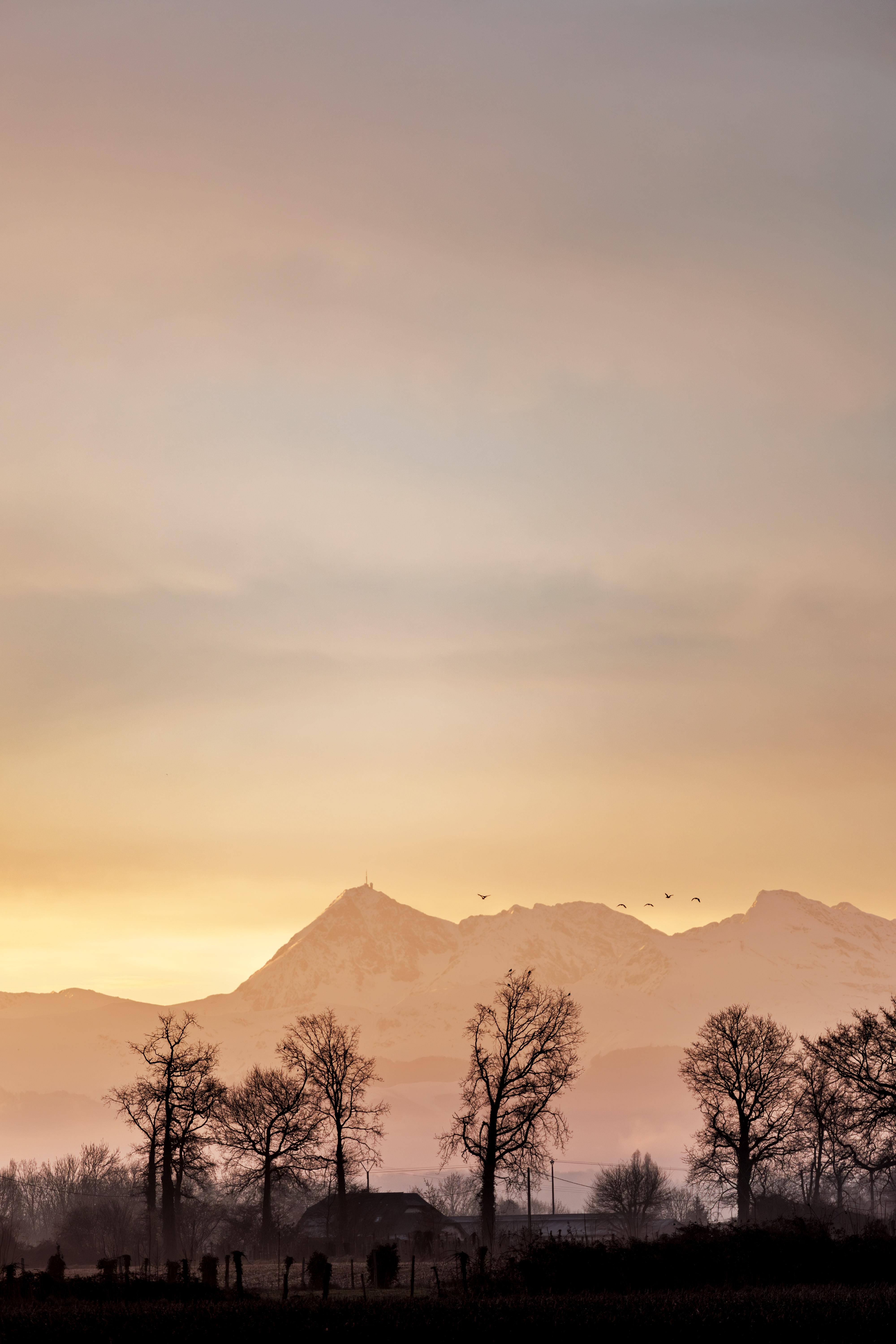 Impression photo