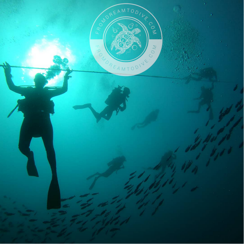 1 Person All Included SCUBA Charter