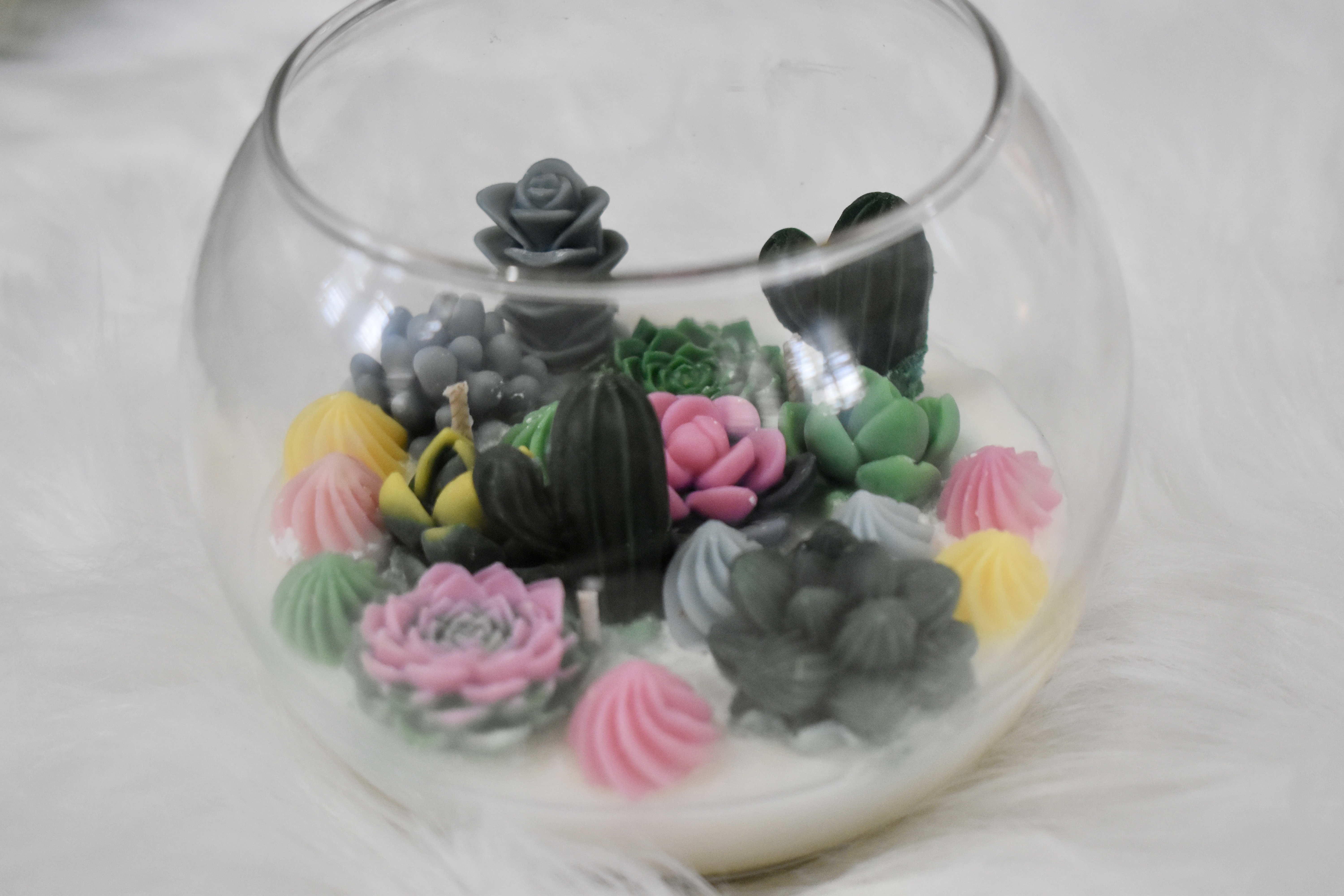 Succulent Garden Candle – A Miniature Botanical Escape