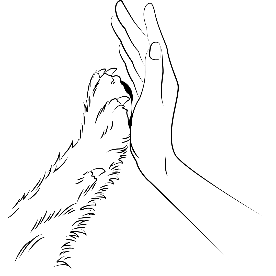 Skin, Fur & Paw Restoration Oil - 1 OZ