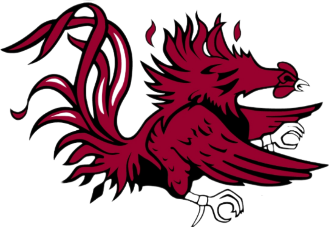 University of South Carolina Premium Vinyl Decal