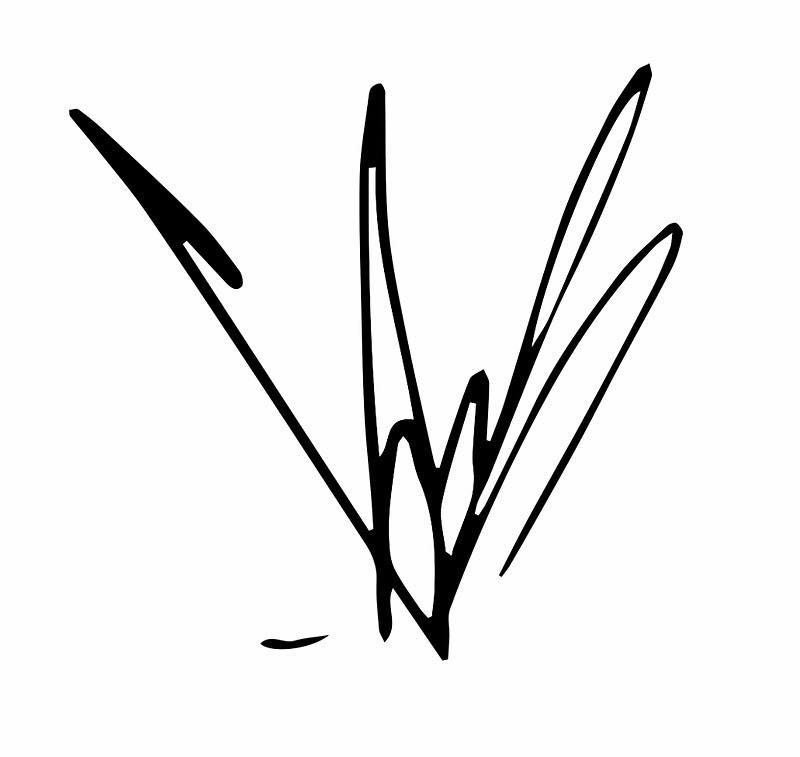 Chris Cornell from Soundgarden and Audioslave Autograph Premium Vinyl Decal. Grunge, Music, 90s & 2000's