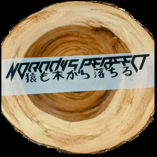 Nobody's Perfect Premium Vinyl Windshield Banner | Custom | JDM | Tuner | Decal