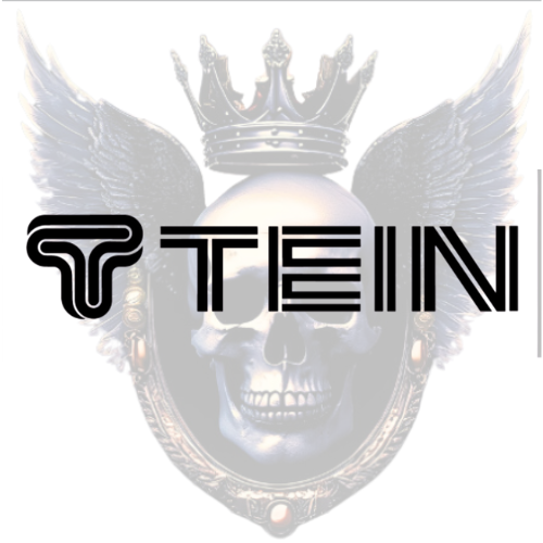 Tein Premium Vinyl Decal, Performance, Lowering Springs, Slammed, Static