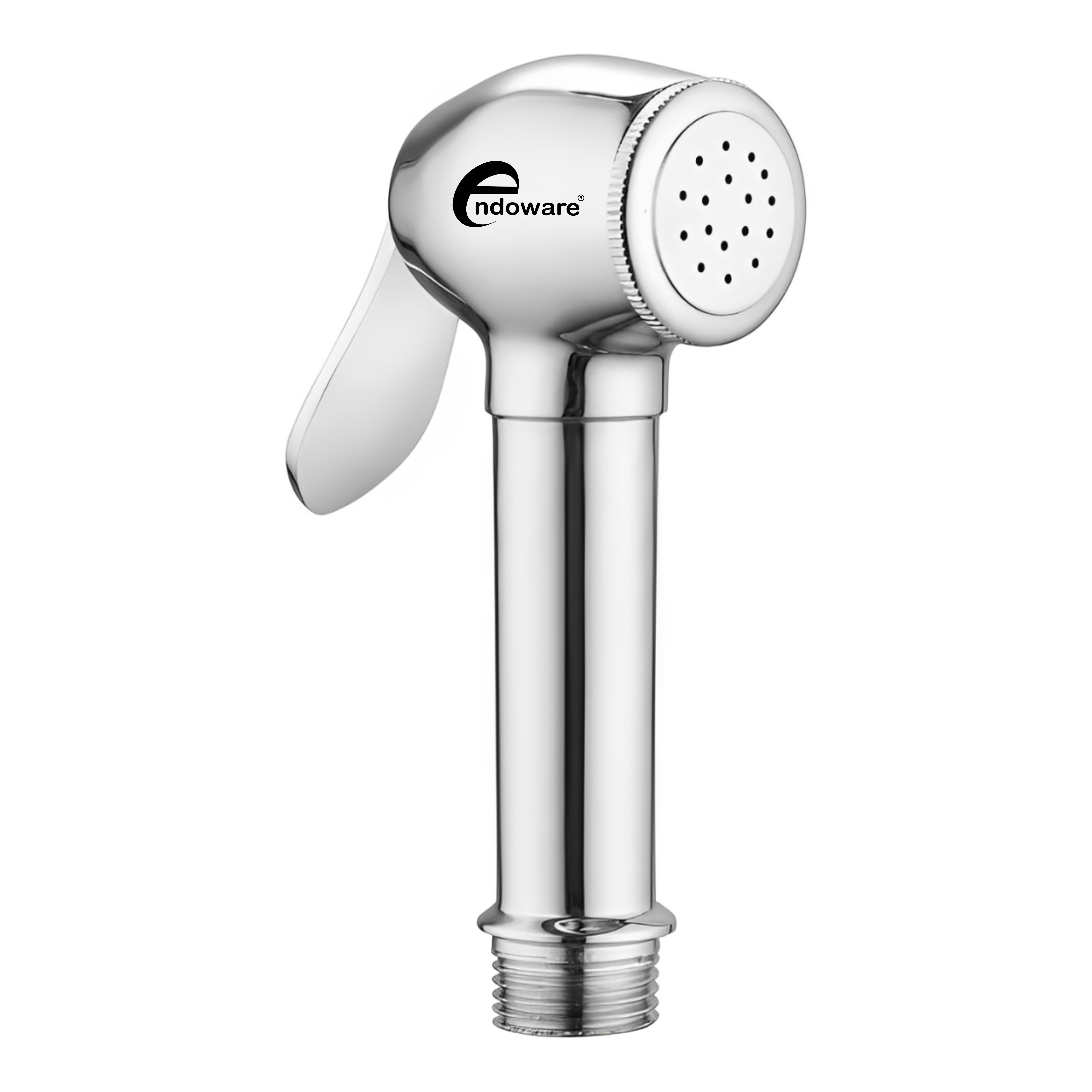 Endoware Dolphin Brass Handheld Showerhead with Flexible Hose, Wall Hook