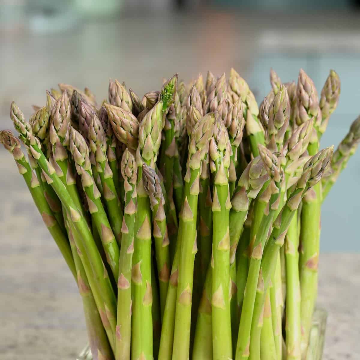 Švieži smidrai (Aspalim, Xenolim ir Erasmus asorti)