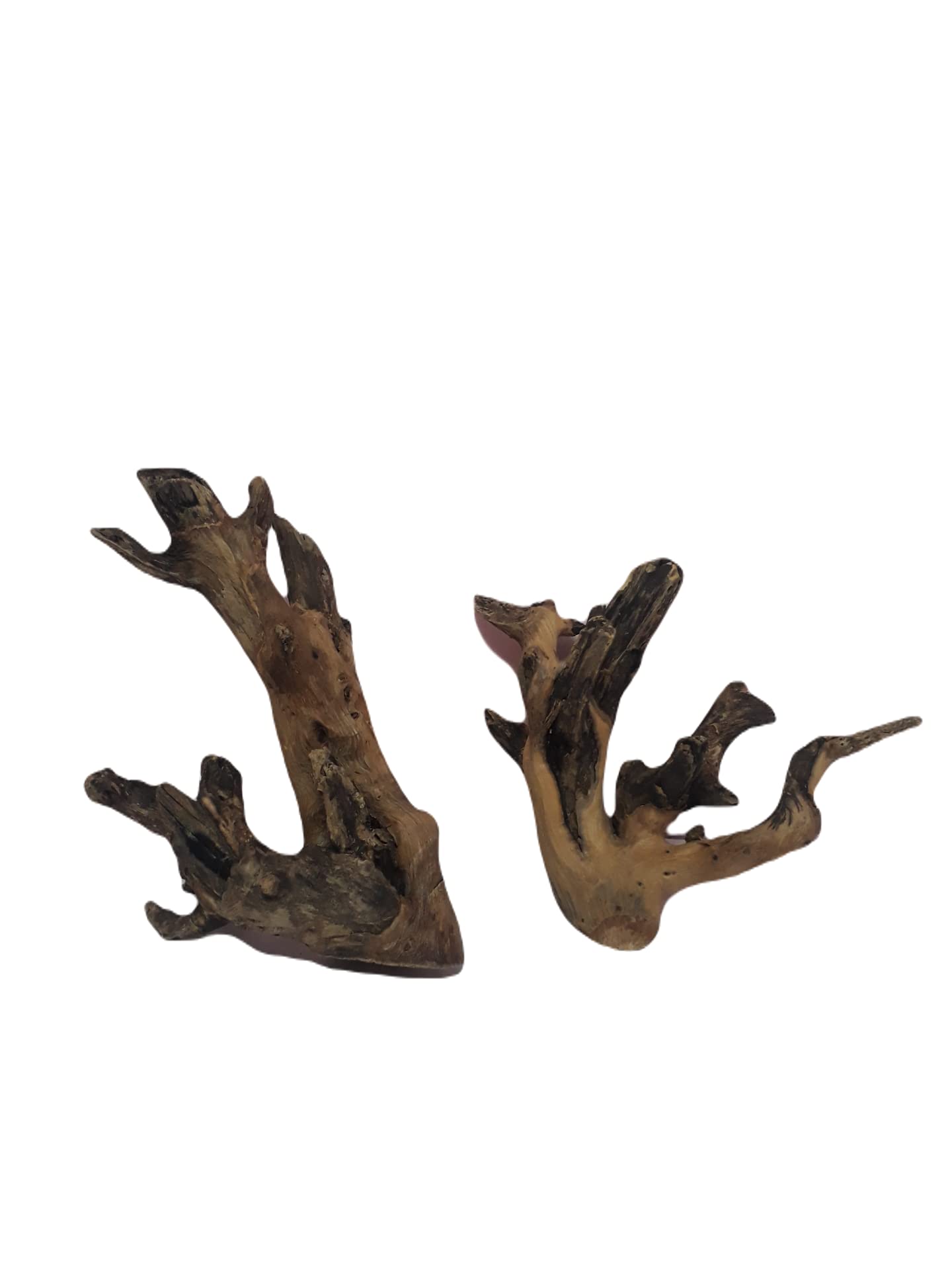 Teak driftwood for aquarium two pieces 25 cm long 