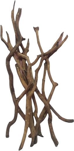 Driftwood for aquarium teak sticks 10 pieces 
