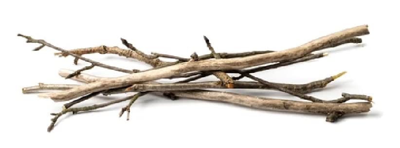 Driftwood for Terrarium Setup or Craft work or Mini Tank decor Small Twigs 10 Pieces
