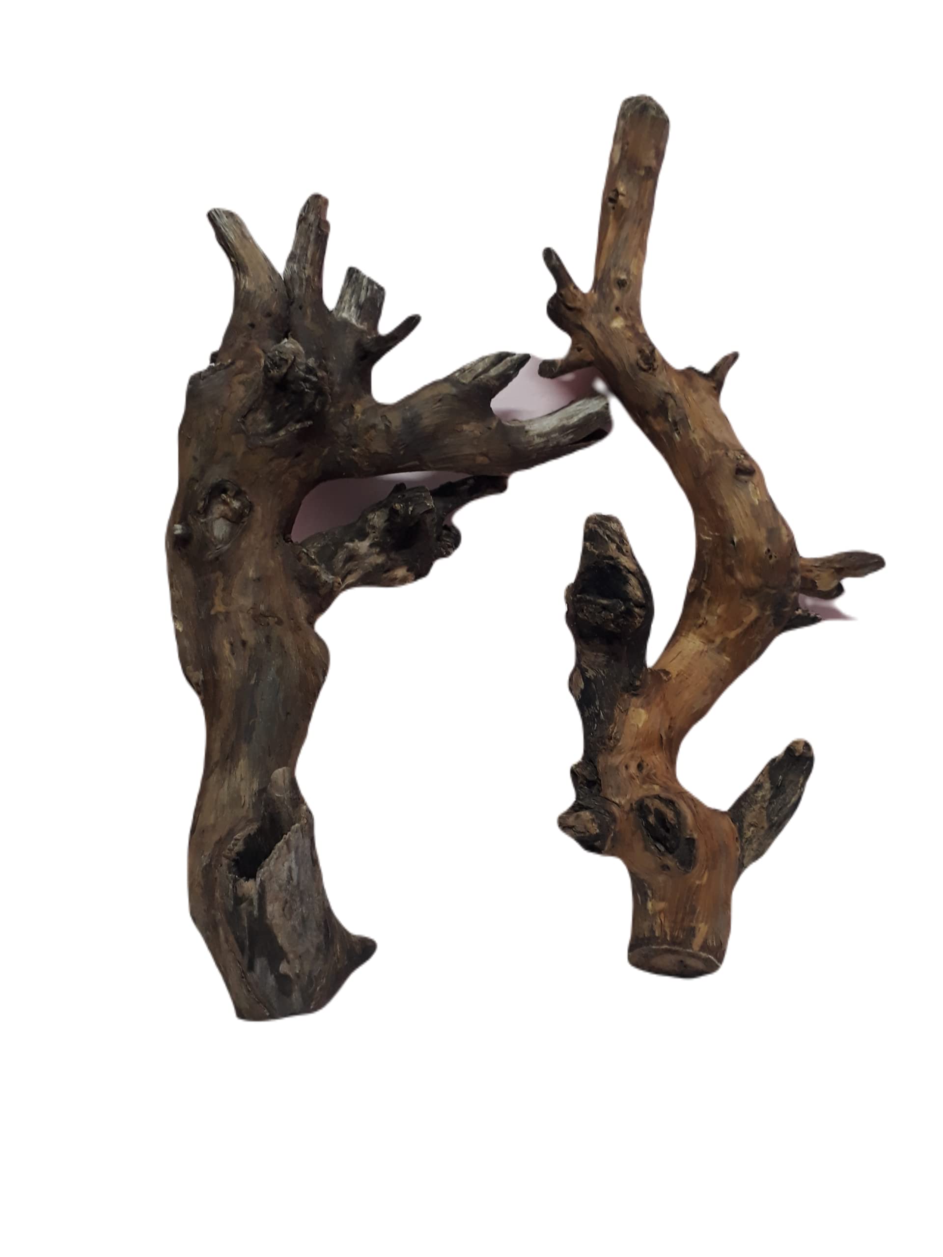 Driftwood for Aquarium Original Teak wood Two Pieces Total weight 2.3 KG (Random shape)
