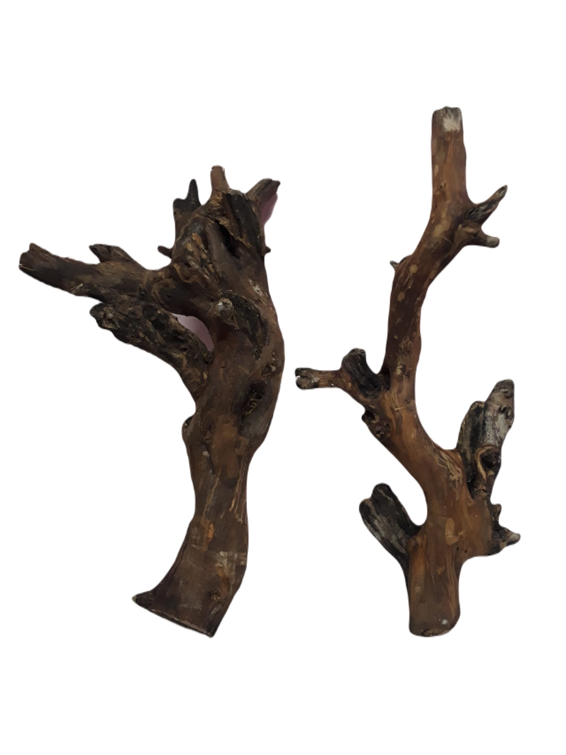 Driftwood for Aquarium Original Teak wood Two Pieces Total weight 2.3 KG (Random shape)