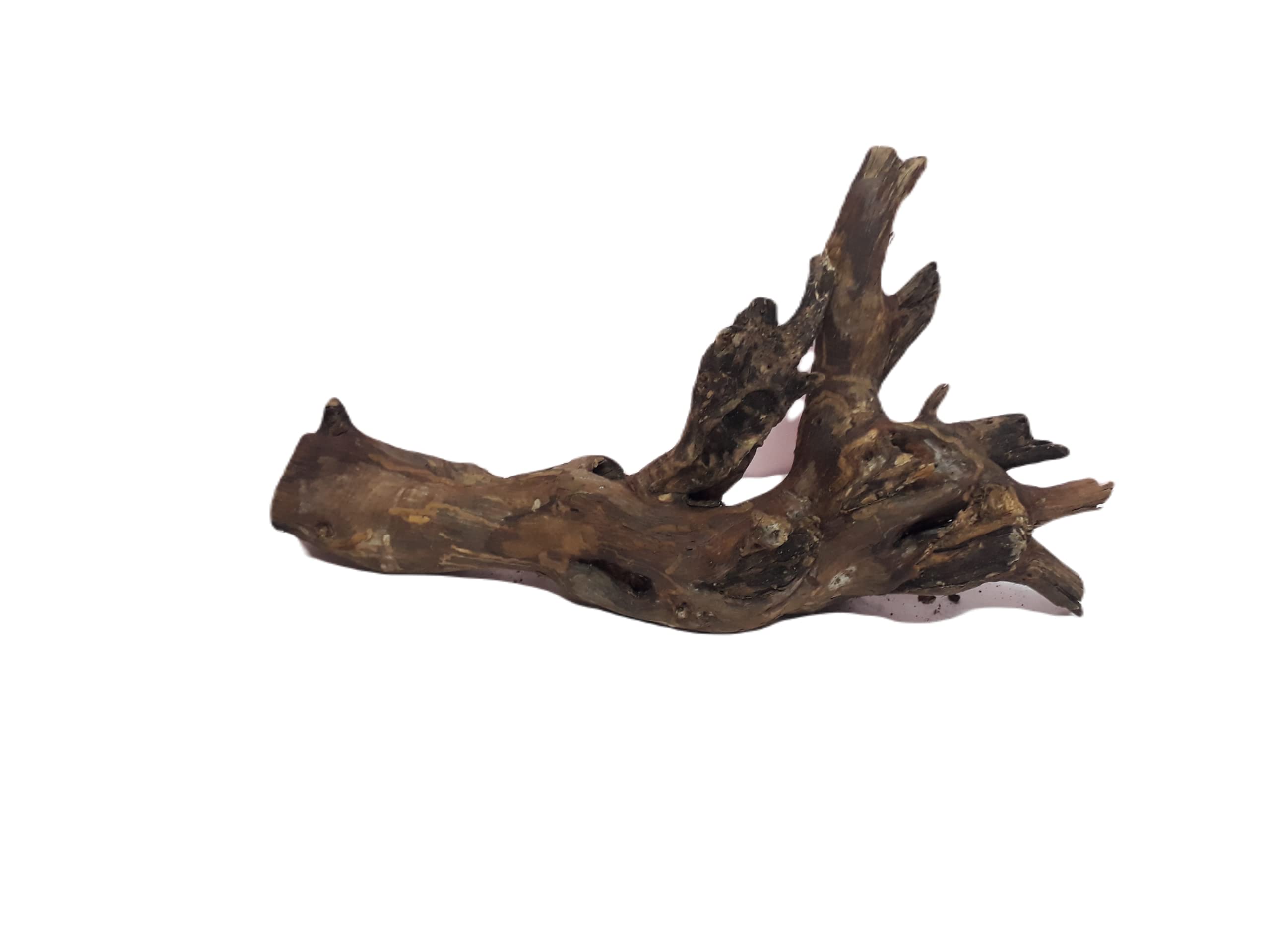 Driftwood for Aquarium Original Teak wood Two Pieces Total weight 2.3 KG (Random shape)