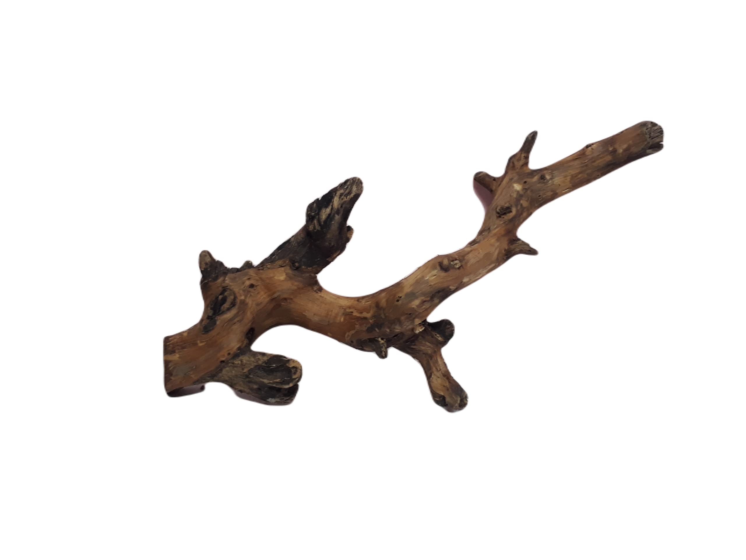 Driftwood for Aquarium Original Teak wood Two Pieces Total weight 2.3 KG (Random shape)
