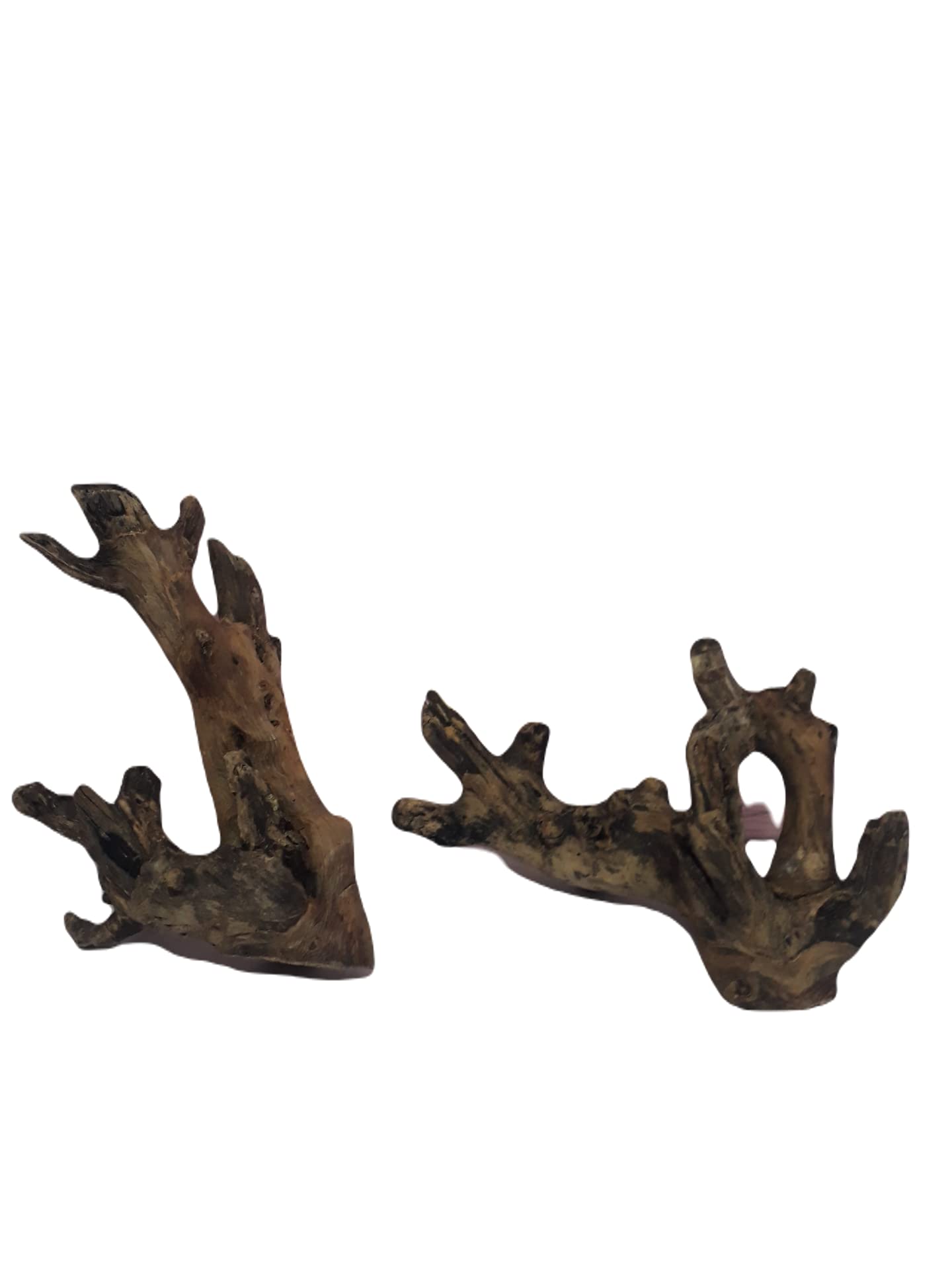 Driftwood For Aquarium Teak wood Two pieces ( Random Shape)