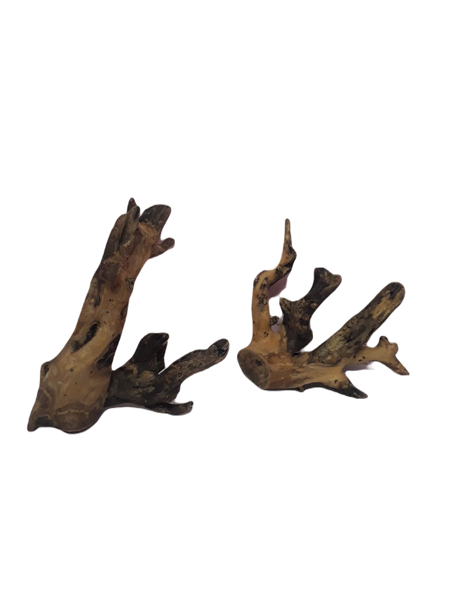 Driftwood For Aquarium Teak wood Two pieces ( Random Shape)