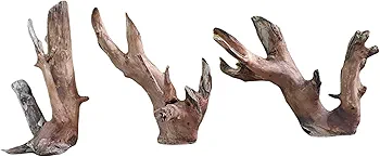 Driftwood for Aquariums original teak wood Three pieces 