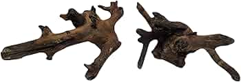 Natural Driftwood for Aquariums teak driftwood random shape Two pieces 