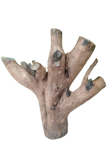 Driftwood for Aquariums Original teak wood 