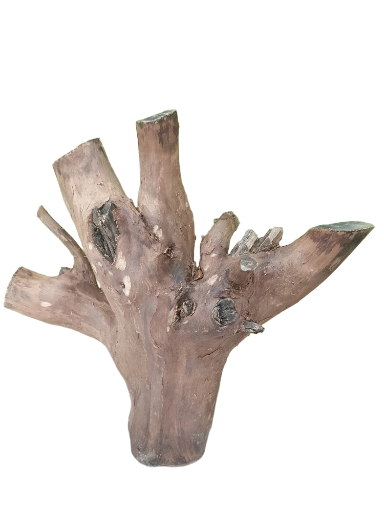Driftwood for Aquariums Original teak wood 