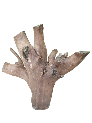 Driftwood for Aquariums Original teak wood 