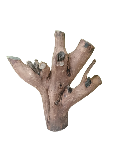 Driftwood for Aquariums Original teak wood 