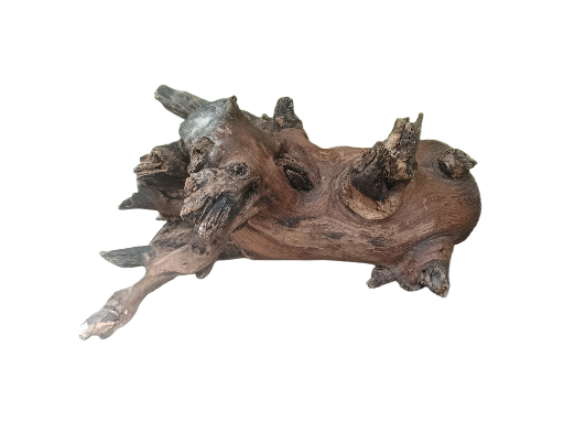 Natural Driftwood for Aquariums