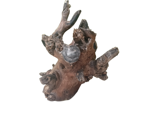 Natural Driftwood for Aquariums