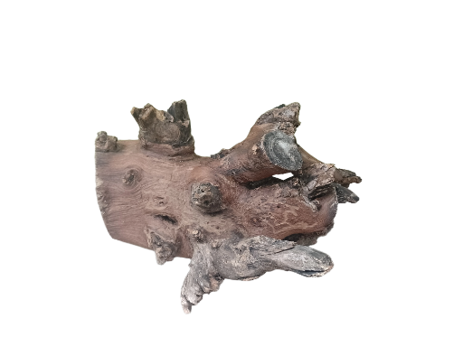 Natural Driftwood for Aquariums