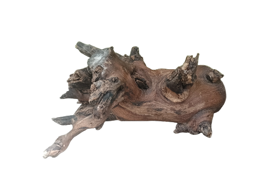 Natural Driftwood for Aquariums