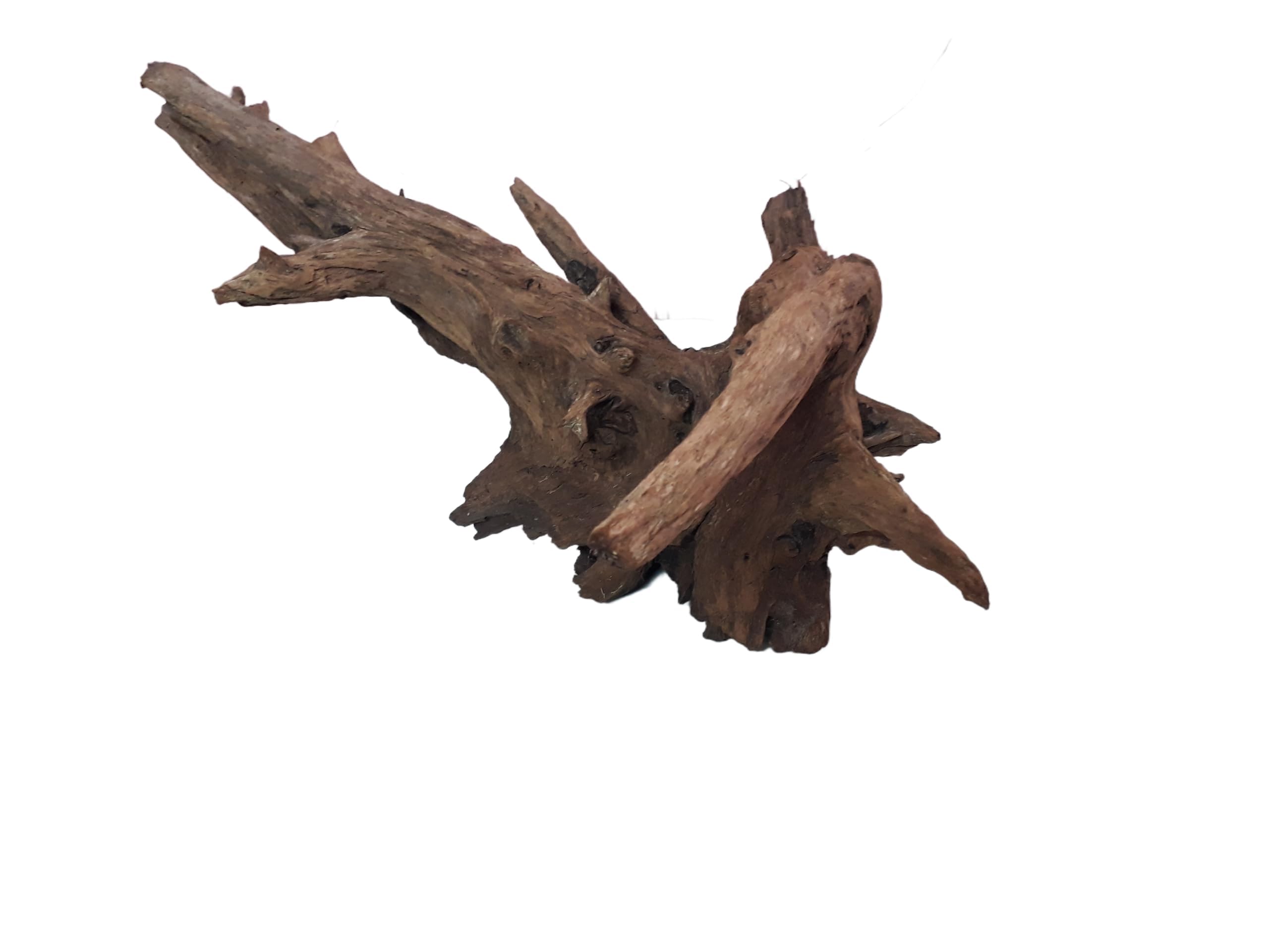 Natural Driftwood for Aquariums only for large size tanks 