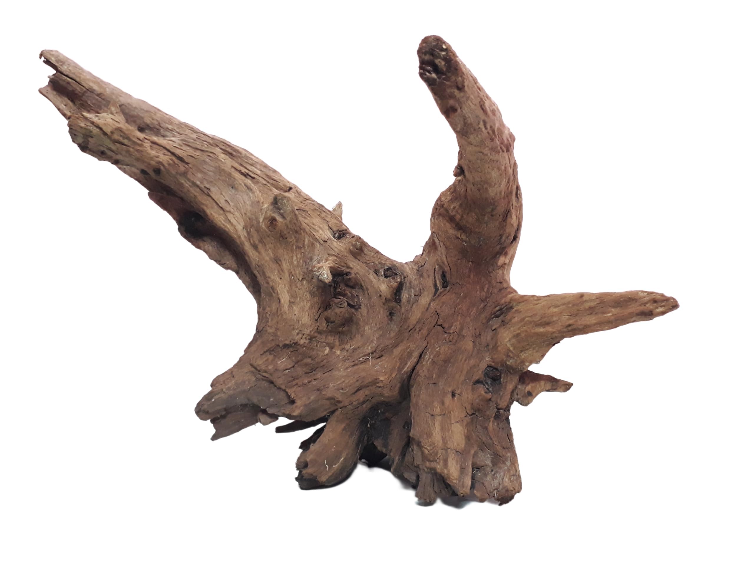 Natural Driftwood for Aquariums only for large size tanks 