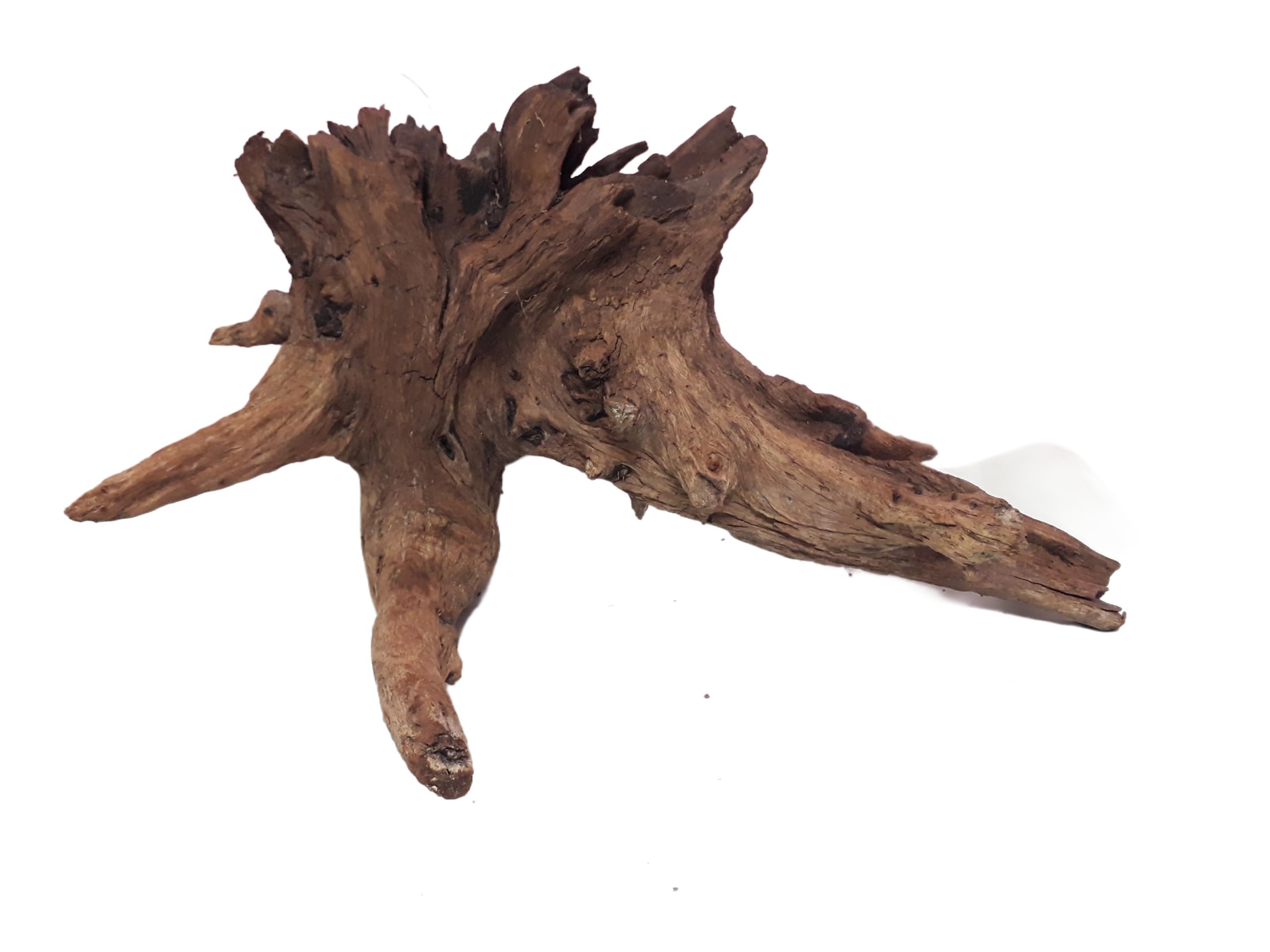 Natural Driftwood for Aquariums only for large size tanks 