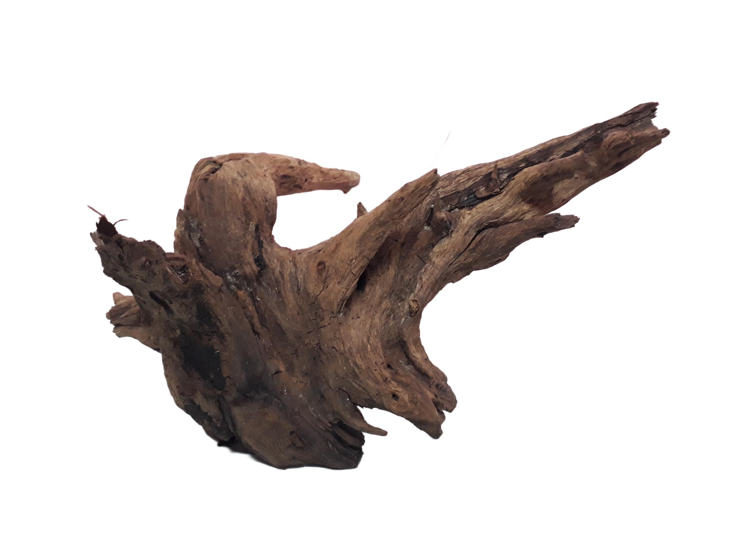 Natural Driftwood for Aquariums only for large size tanks 